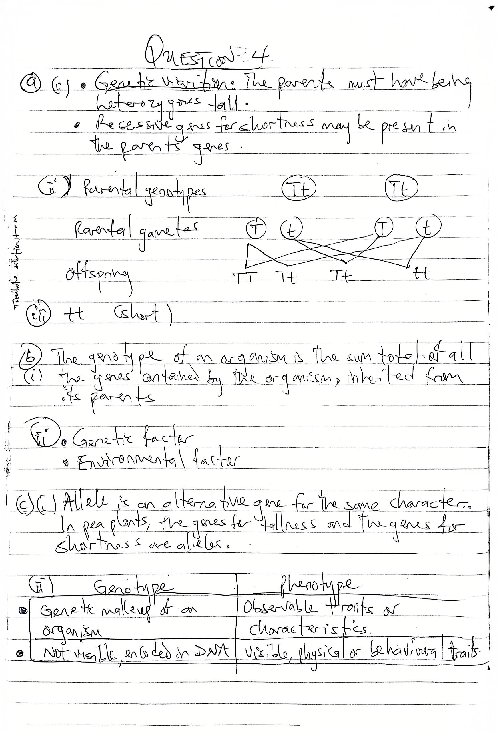BIOLOGY WAEC 2025