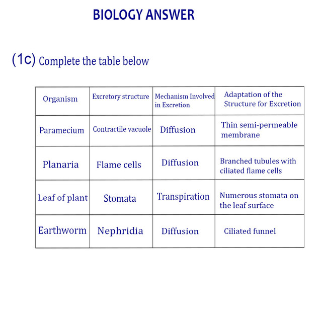 BIOLOGY WAEC 2025