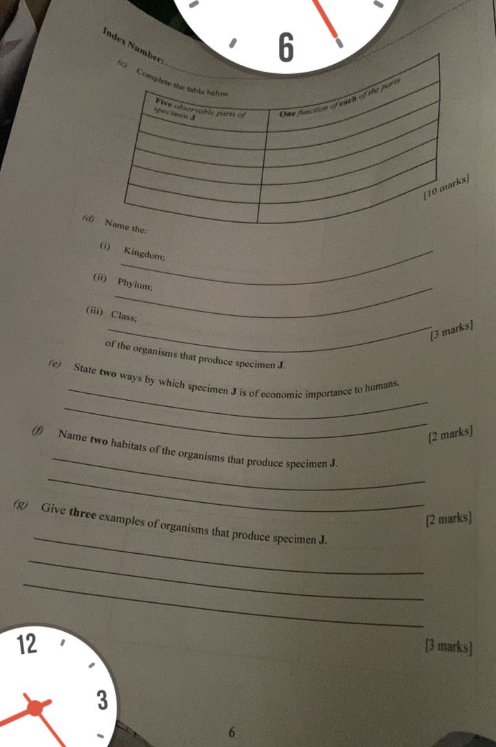 BIOLOGY-PRACTICAL-WAEC-2025