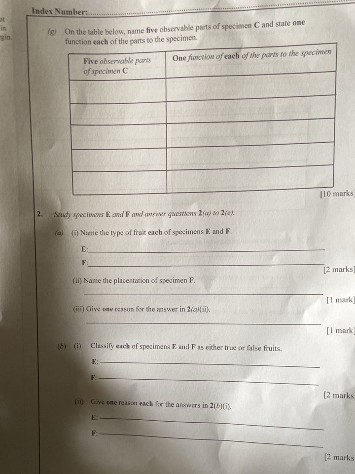 BIOLOGY-PRACTICAL-WAEC-2025