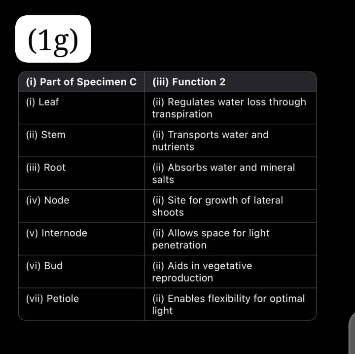 BIOLOGY-PRACTICAL-WAEC-2025