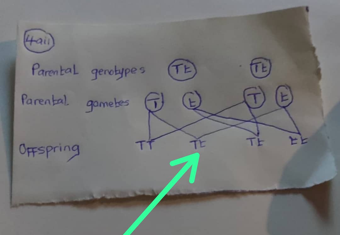 BIOLOGY WAEC 2025