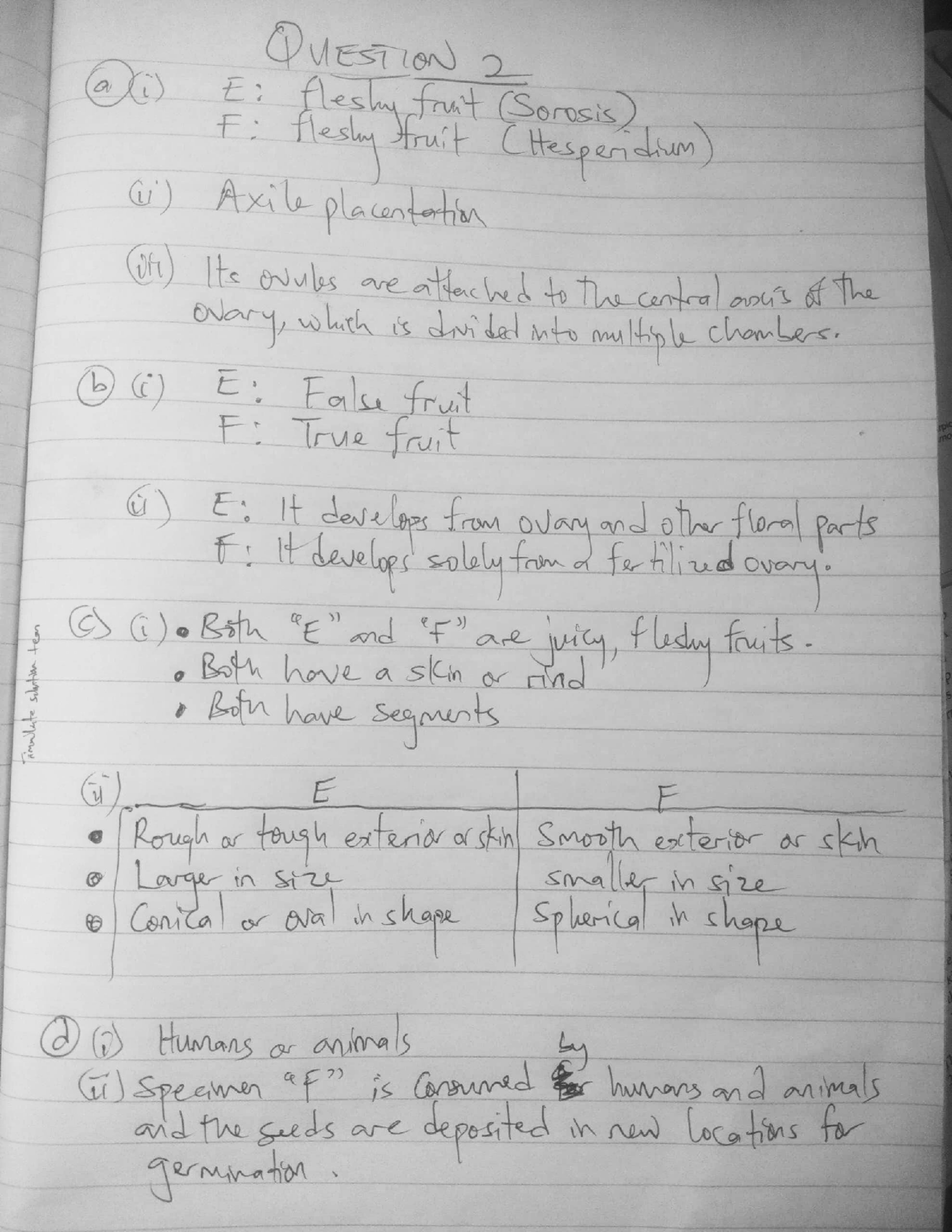 BIOLOGY-PRACTICAL-WAEC-2025